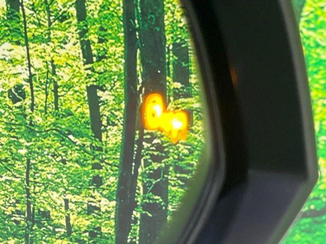 ヴェルファイア（新潟県長岡市）