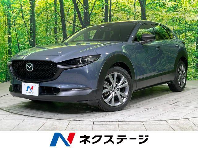 ＣＸ－３０（新潟県長岡市）