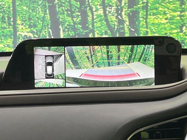 ＣＸ－３０（新潟県長岡市）