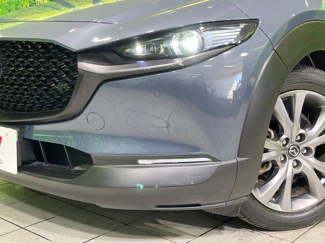 ＣＸ－３０（新潟県長岡市）