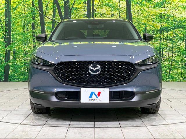 ＣＸ－３０（新潟県長岡市）