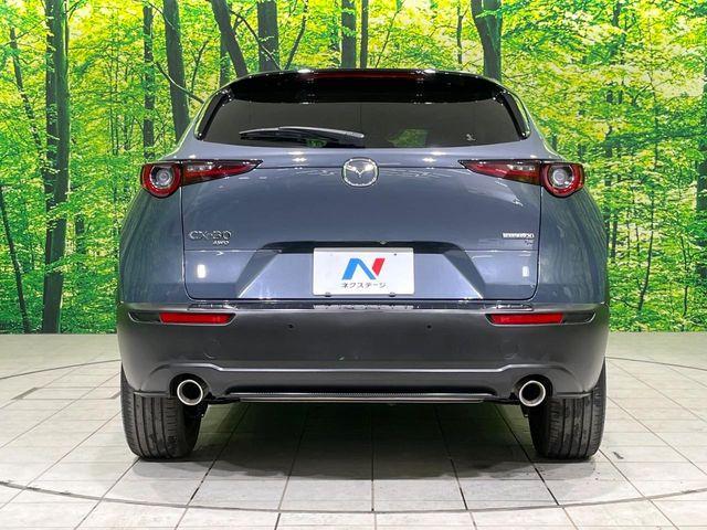 ＣＸ－３０（新潟県長岡市）