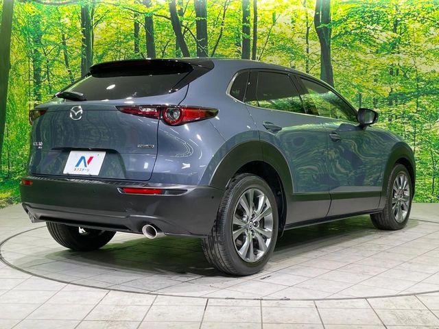 ＣＸ－３０（新潟県長岡市）