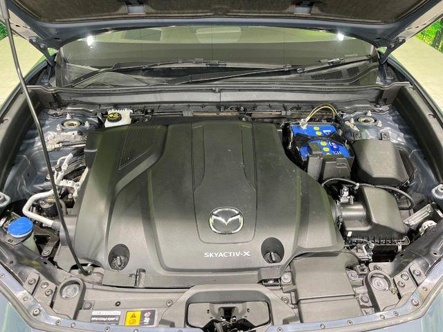 ＣＸ－３０（新潟県長岡市）