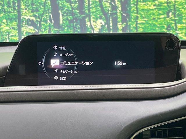 ＣＸ－３０（新潟県長岡市）