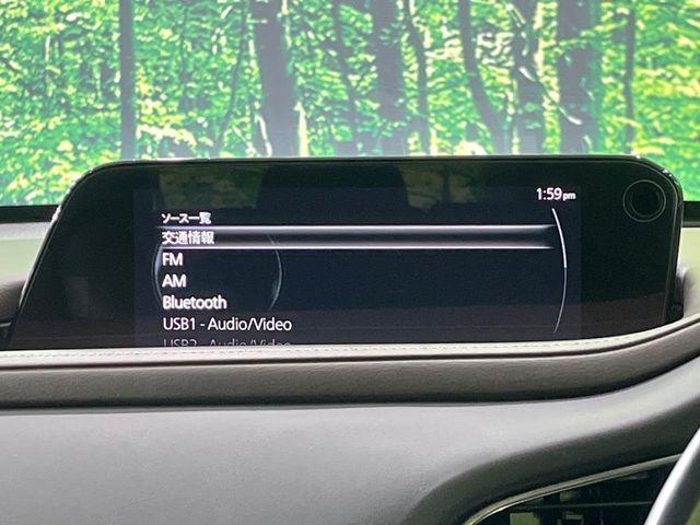 ＣＸ－３０（新潟県長岡市）