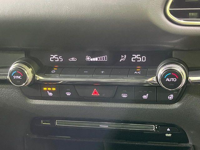 ＣＸ－３０（新潟県長岡市）