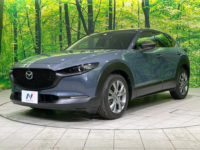 ＣＸ－３０（新潟県長岡市）