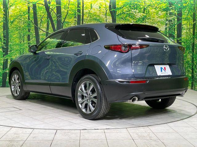 ＣＸ－３０（新潟県長岡市）