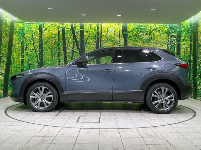 ＣＸ－３０（新潟県長岡市）