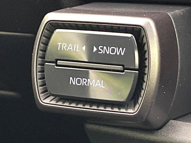 ＲＡＶ４（新潟県新潟市東区）