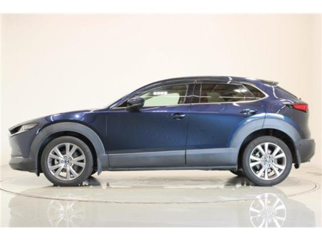 ＣＸ－３０（新潟県新潟市東区）画像10