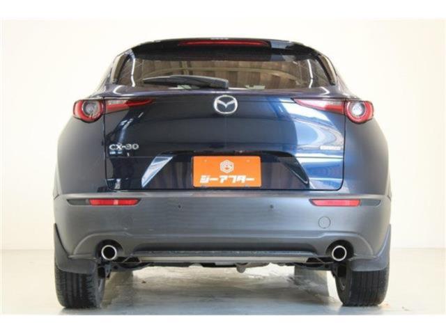 ＣＸ－３０（新潟県新潟市東区）画像12