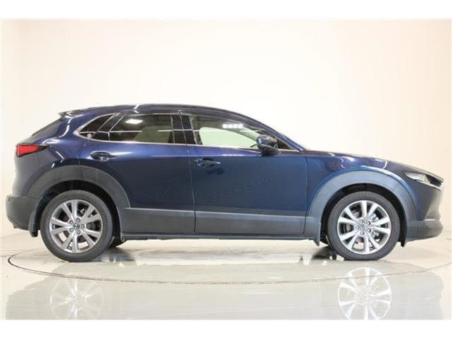 ＣＸ－３０（新潟県新潟市東区）画像14