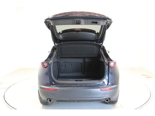 ＣＸ－３０（新潟県新潟市東区）画像32