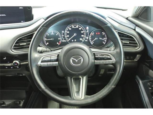 ＣＸ－３０（新潟県新潟市東区）画像45