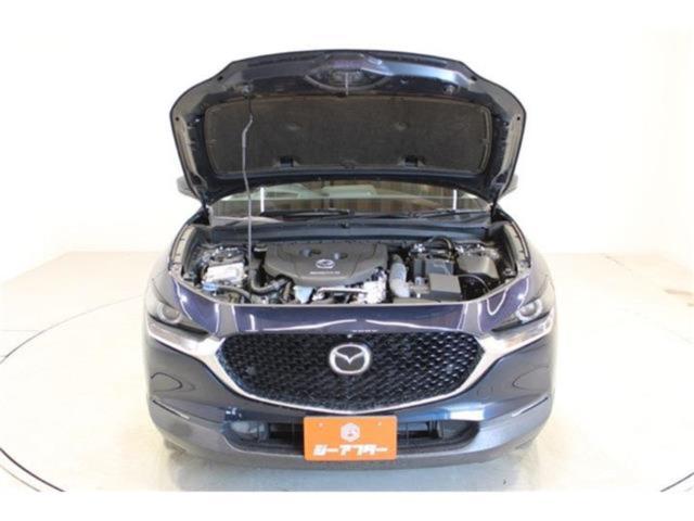 ＣＸ－３０（新潟県新潟市東区）画像70