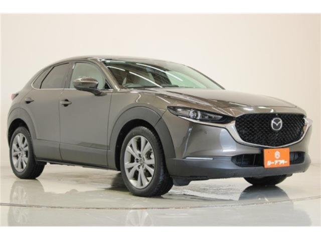 ＣＸ－３０（新潟県新潟市東区）画像7