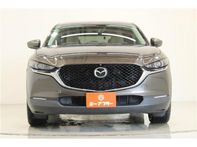 ＣＸ－３０（新潟県新潟市東区）画像8