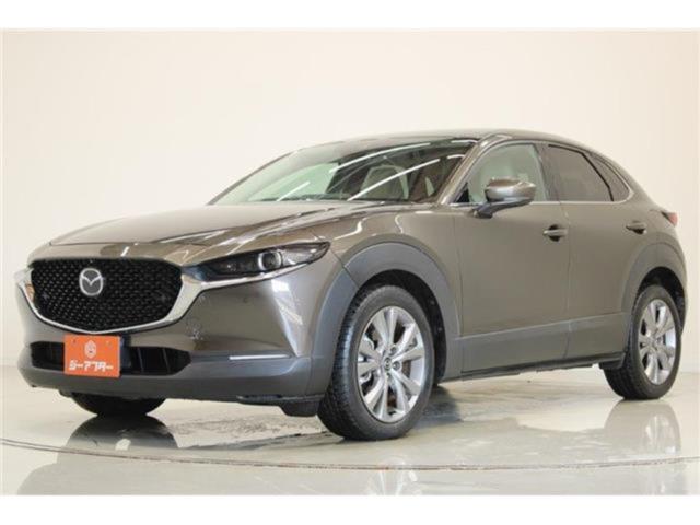 ＣＸ－３０（新潟県新潟市東区）画像9