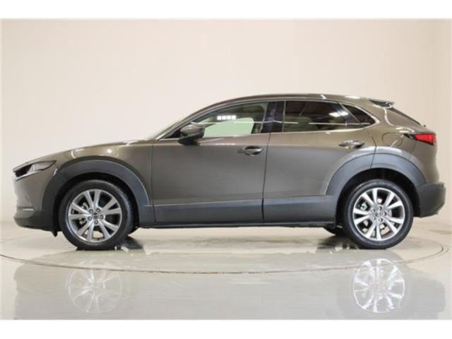 ＣＸ－３０（新潟県新潟市東区）画像10