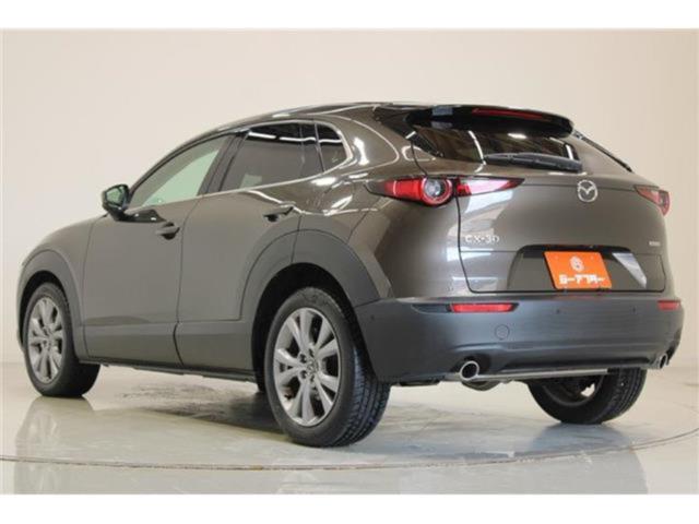 ＣＸ－３０（新潟県新潟市東区）画像11