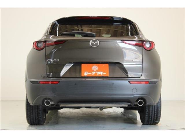 ＣＸ－３０（新潟県新潟市東区）画像12