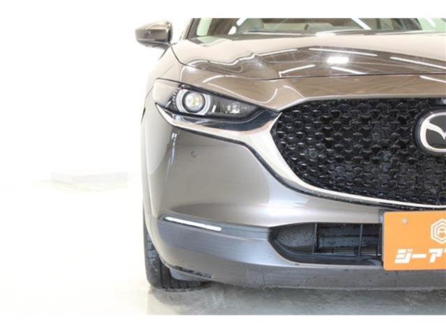 ＣＸ－３０（新潟県新潟市東区）画像17