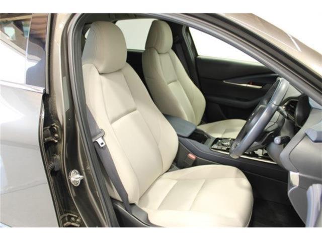 ＣＸ－３０（新潟県新潟市東区）画像37