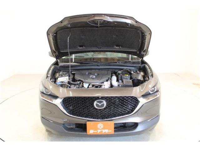 ＣＸ－３０（新潟県新潟市東区）画像70