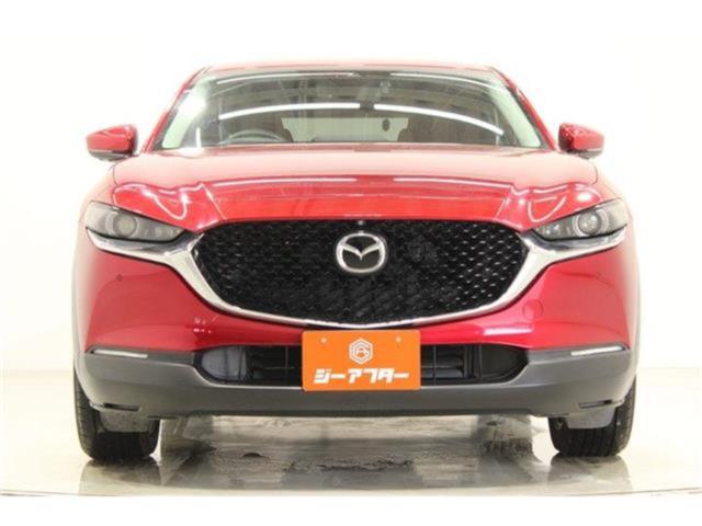 ＣＸ－３０（新潟県新潟市東区）画像9