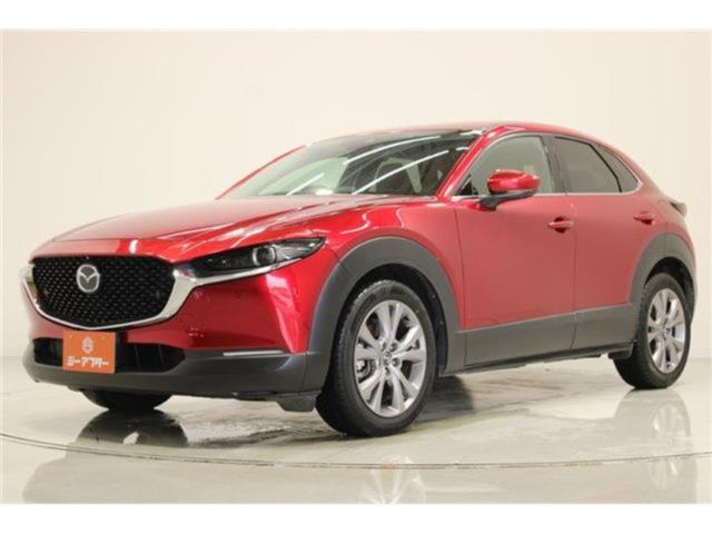 ＣＸ－３０（新潟県新潟市東区）画像10