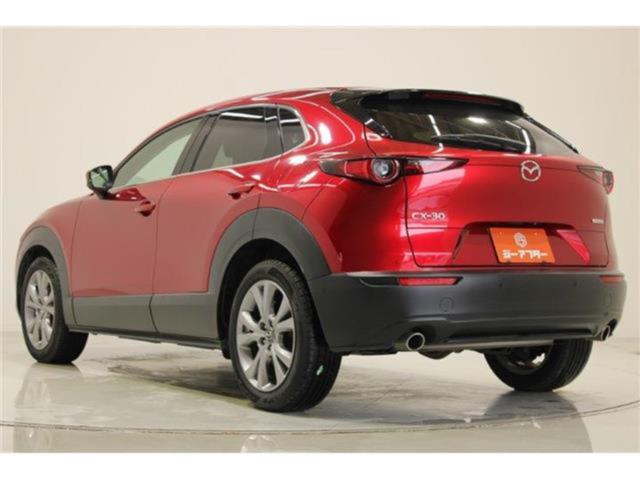 ＣＸ－３０（新潟県新潟市東区）画像12