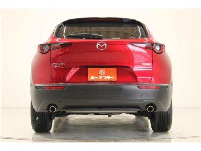 ＣＸ－３０（新潟県新潟市東区）画像13