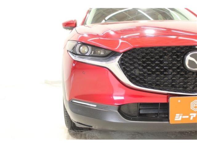 ＣＸ－３０（新潟県新潟市東区）画像18