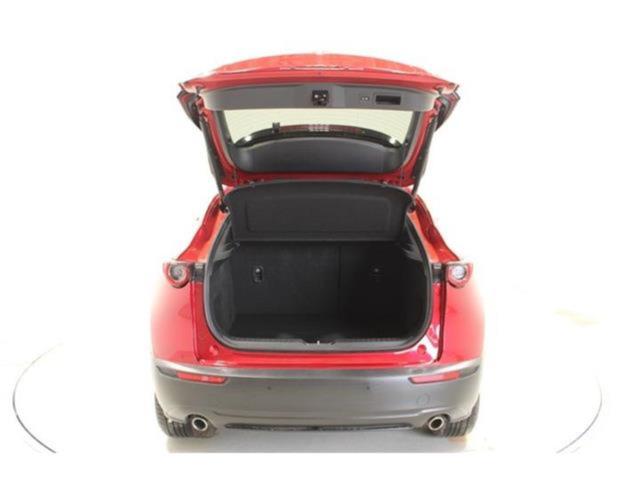 ＣＸ－３０（新潟県新潟市東区）画像33