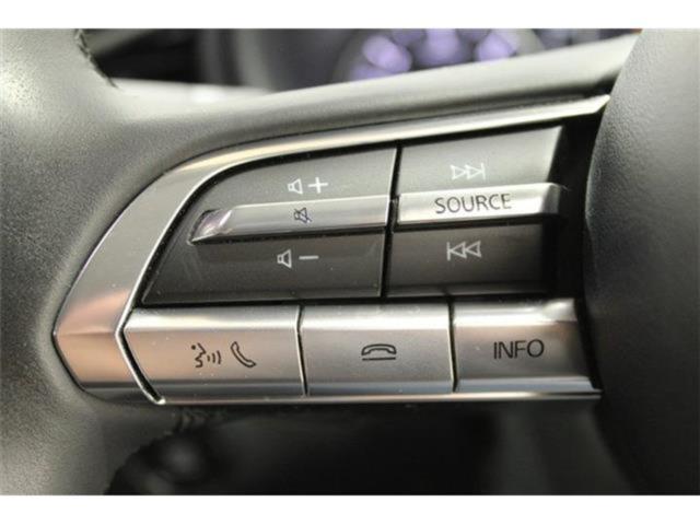 ＣＸ－３０（新潟県新潟市東区）画像48