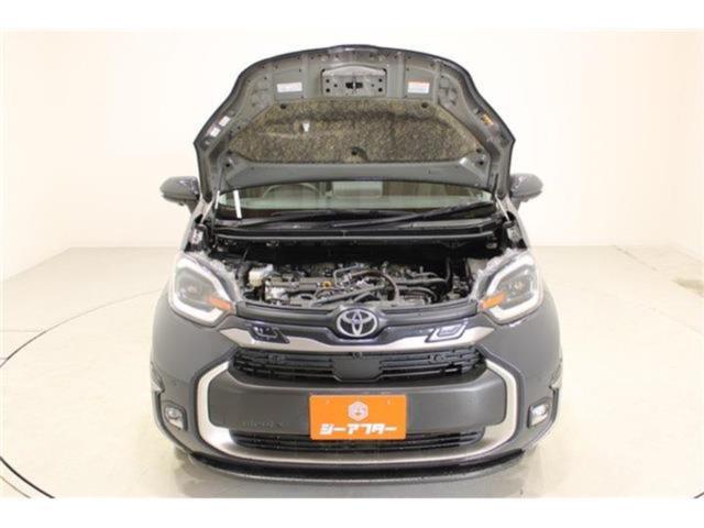 シエンタ（新潟県新潟市東区）