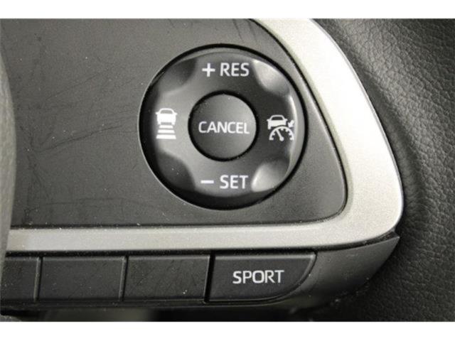 ルーミー（新潟県新潟市東区）