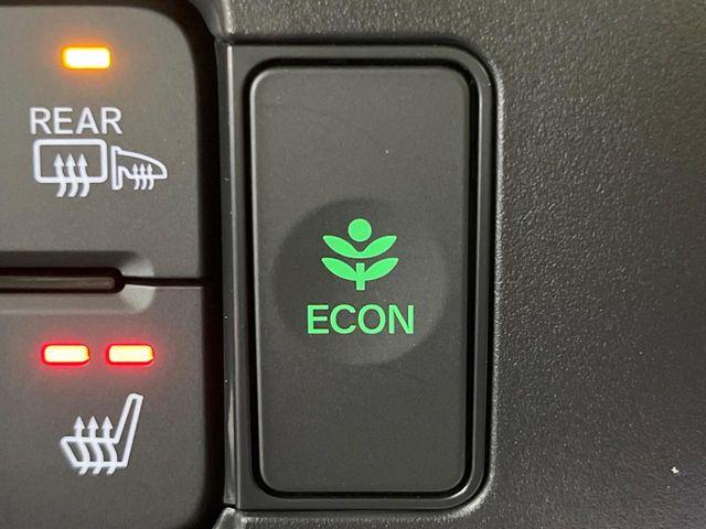 N＿BOX（新潟県長岡市）