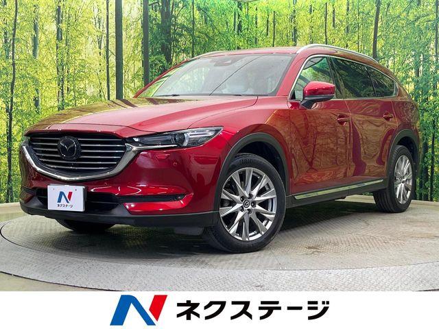 CX-8（新潟県新潟市南区）