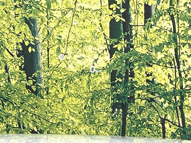 CX-5（新潟県新潟市東区）