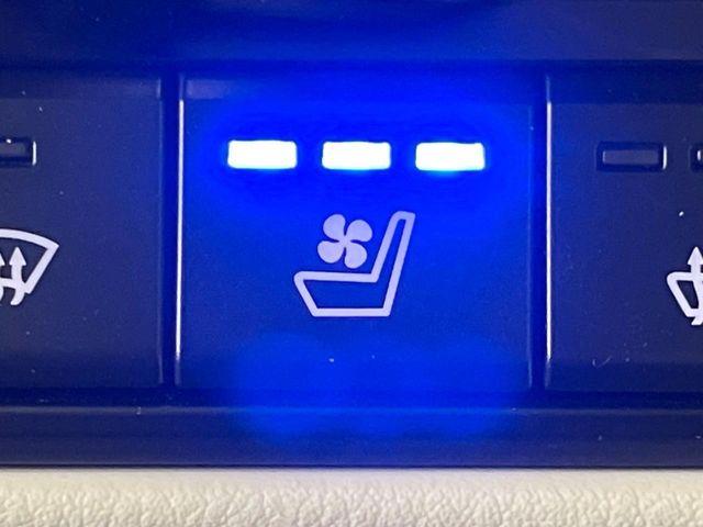 CX-60（新潟県長岡市）画像32