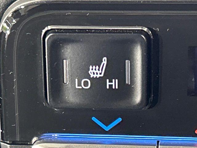 ヴォクシー(新潟県長岡市)