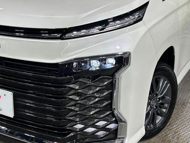 ヴォクシー(新潟県長岡市)