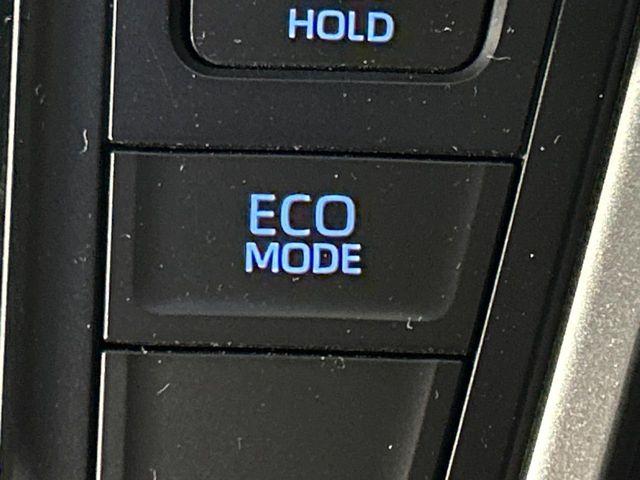 ヴォクシー(新潟県長岡市)