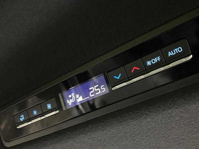 ヴォクシー(新潟県長岡市)