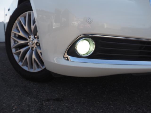 シーマハイブリッド（新潟県新潟市西区）