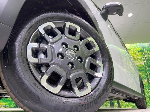 フリード(新潟県長岡市)