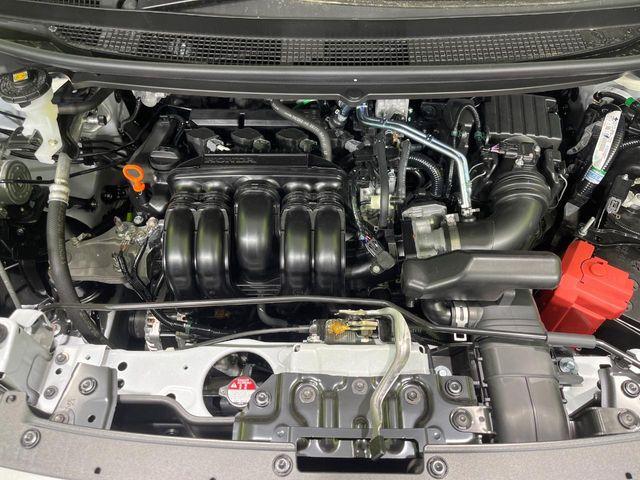 フリード(新潟県長岡市)